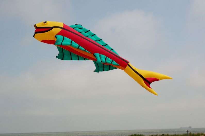 Kites of all colours, shapes and sizes will be flown at Walmer. PICTURE Jim Whalley