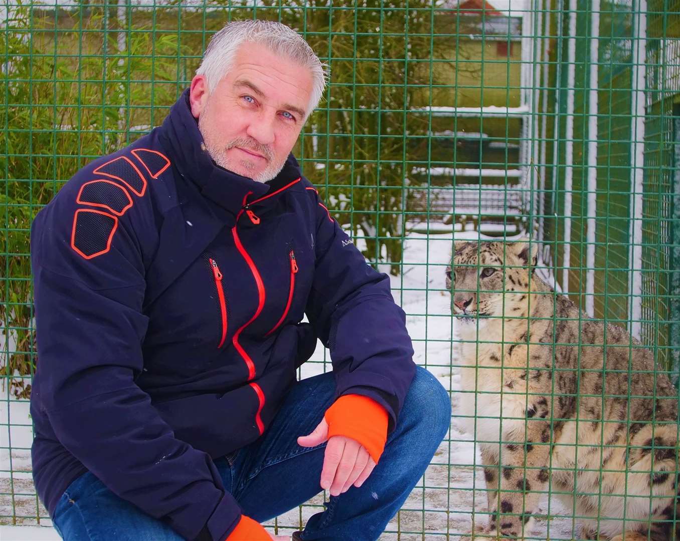 Bake Off star Paul Hollywood at the Big Cat Sanctuary in Smarden with Laila the Snow Leopard