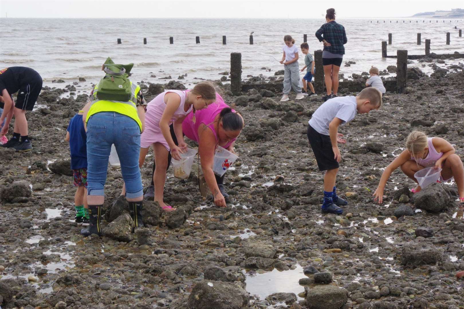 Exploring rock pools on the beach as part of the Sheerness Festival of the Sea. Picture: Phil Crowder