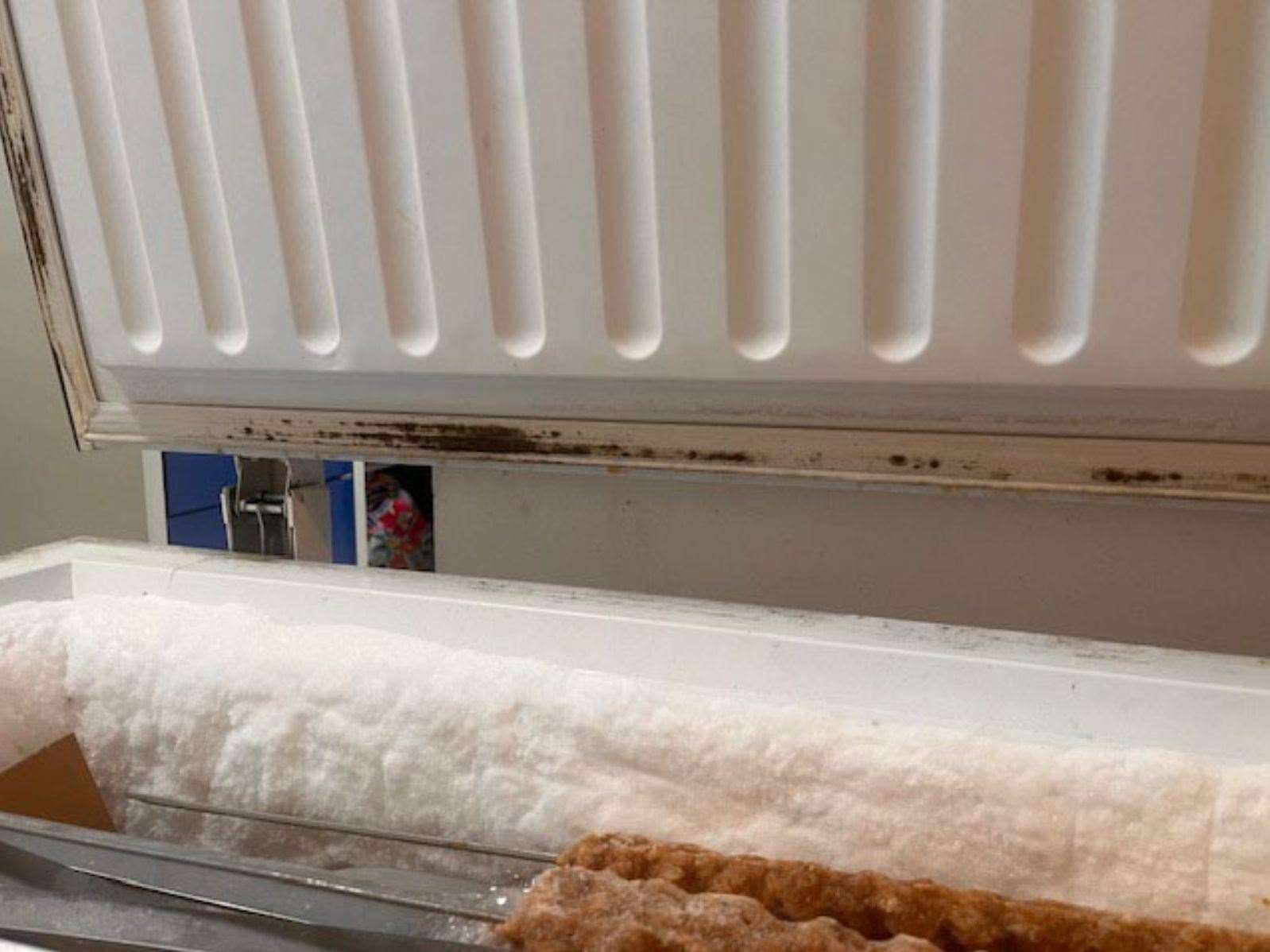 Mould on the freezer seal – inches away from open high-risk food