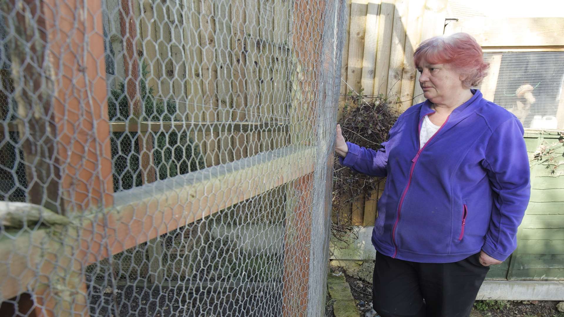 Margaret Tompkins' canaries were stolen from her garden.