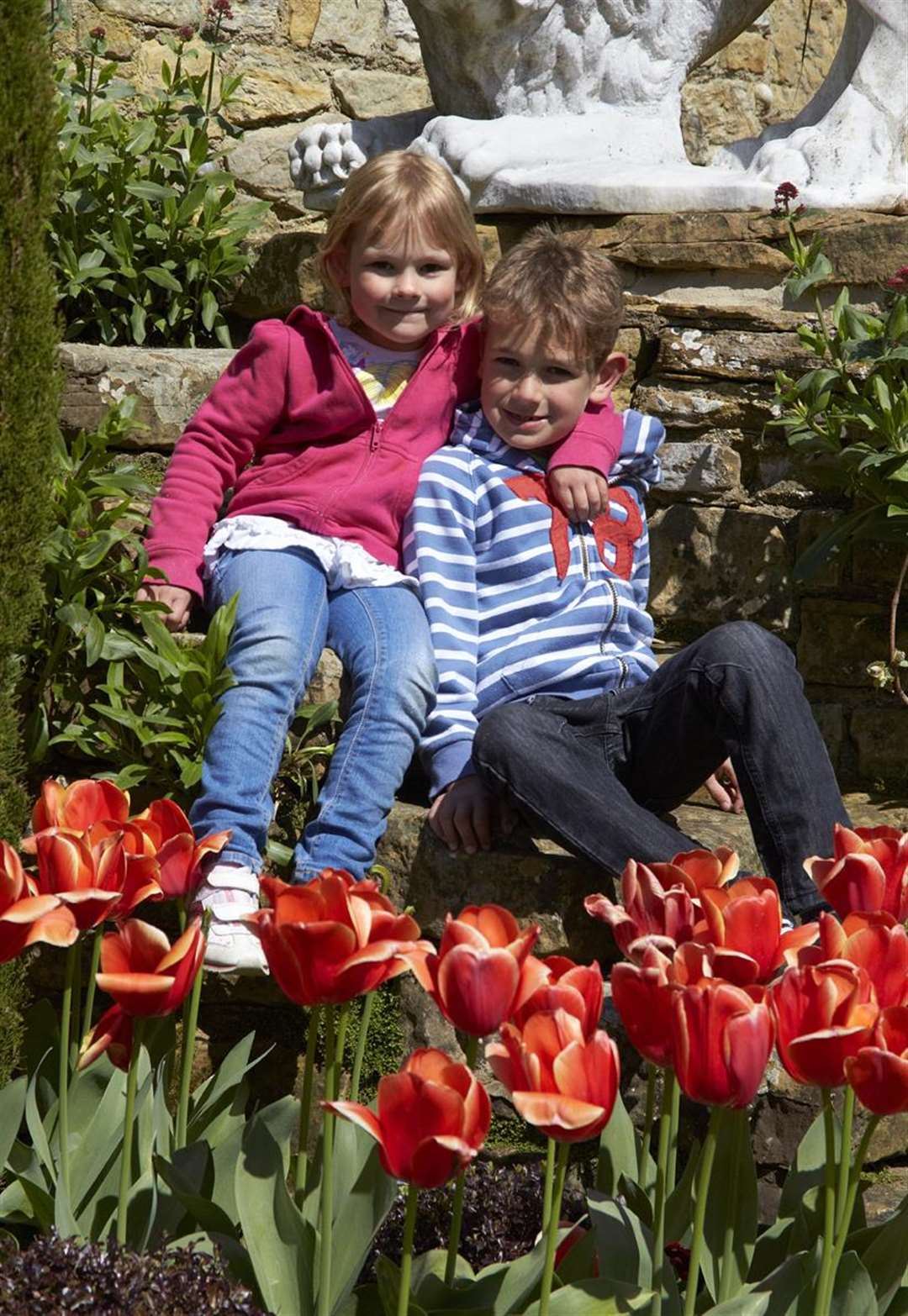 Enjoy the tulip festival at Hever Castle in the sunshine