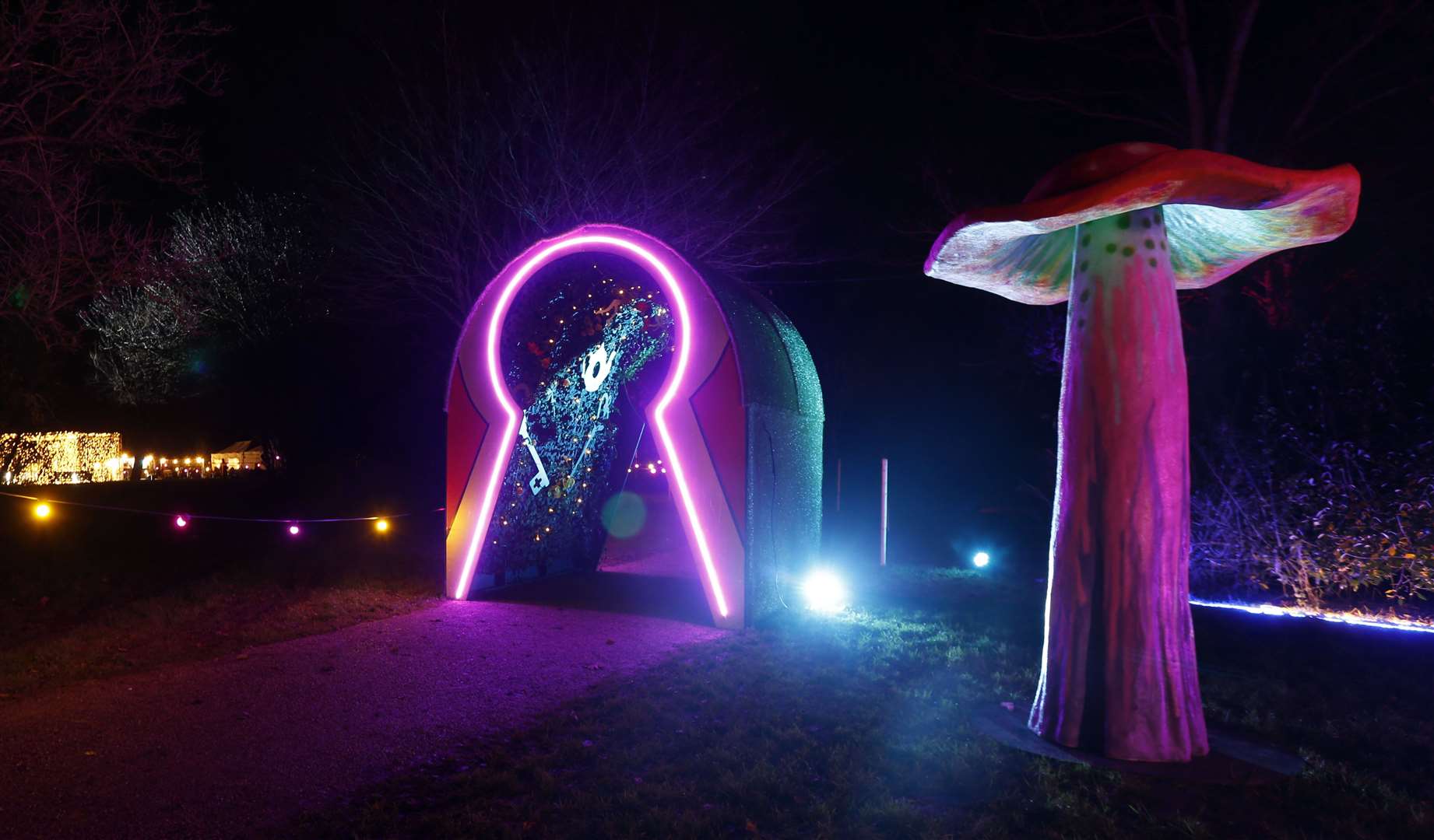 The Glow Illumination Trail at Cobtree Manor Park has returned for 2022. Picture: Lisa Carpendale