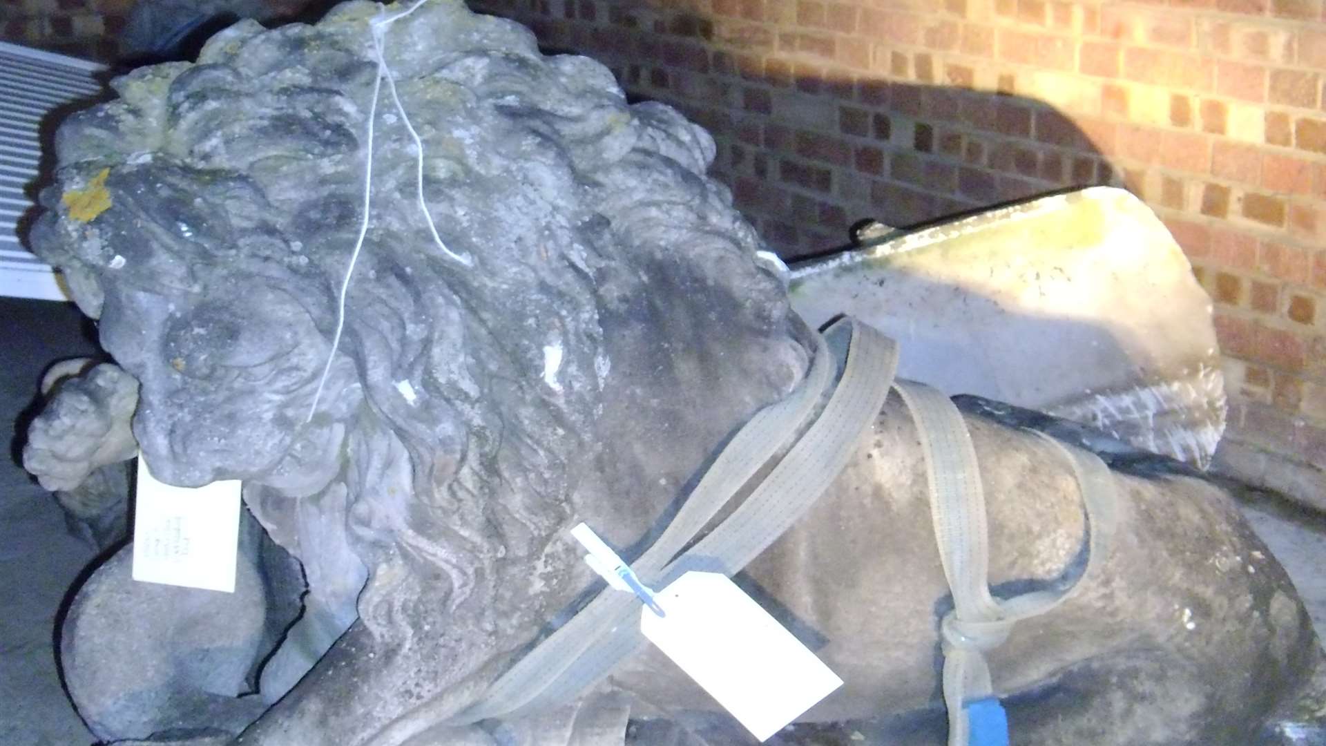 One of the recovered lions discovered in a garage