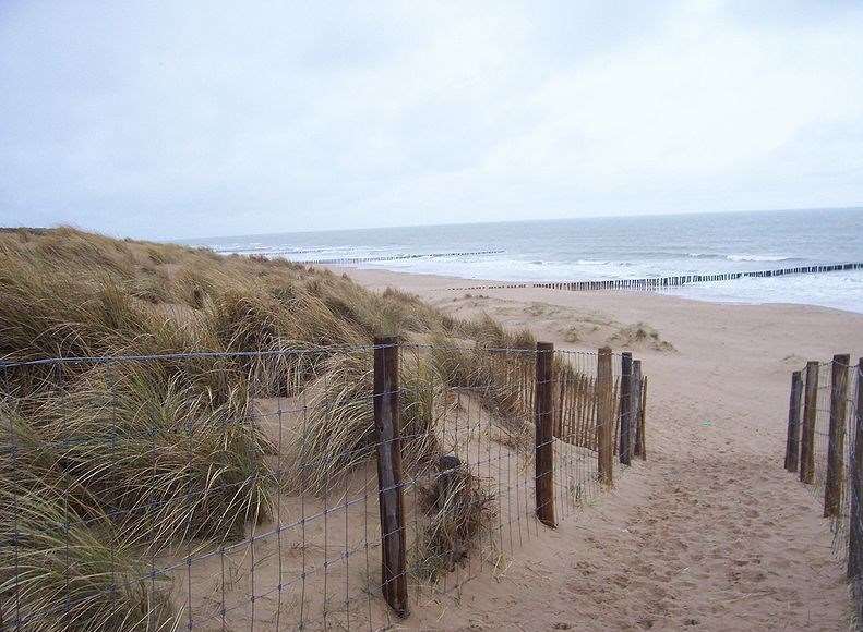 Mr Ullyett's body was found on a beach in Sangatte, Calais