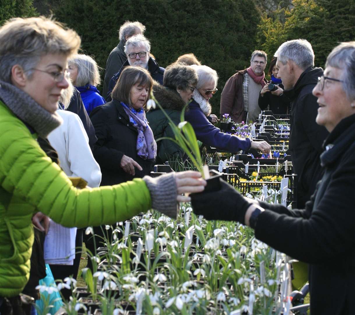 Great Comp's annual snowdrop fair returns for the first time since 2019. Picture: Vikki Rimmer