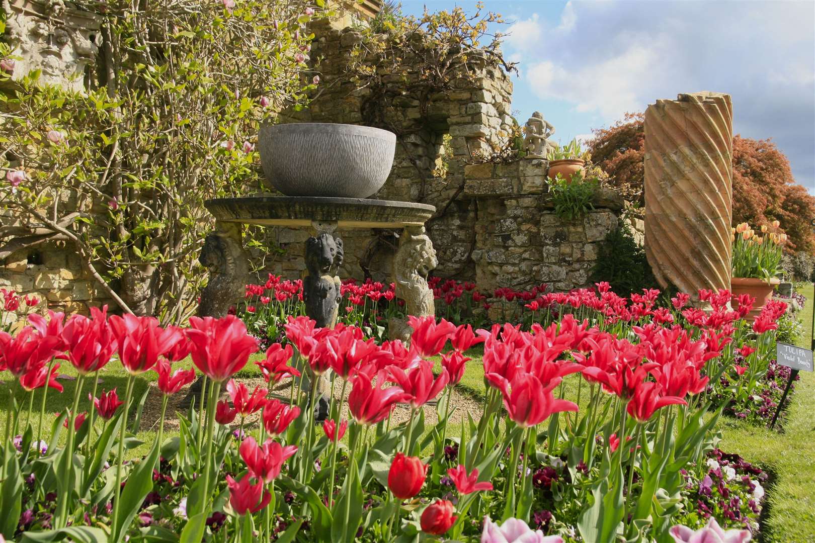 Stroll through the walled garden with an expert guide. Picture: Vikki Rimmer