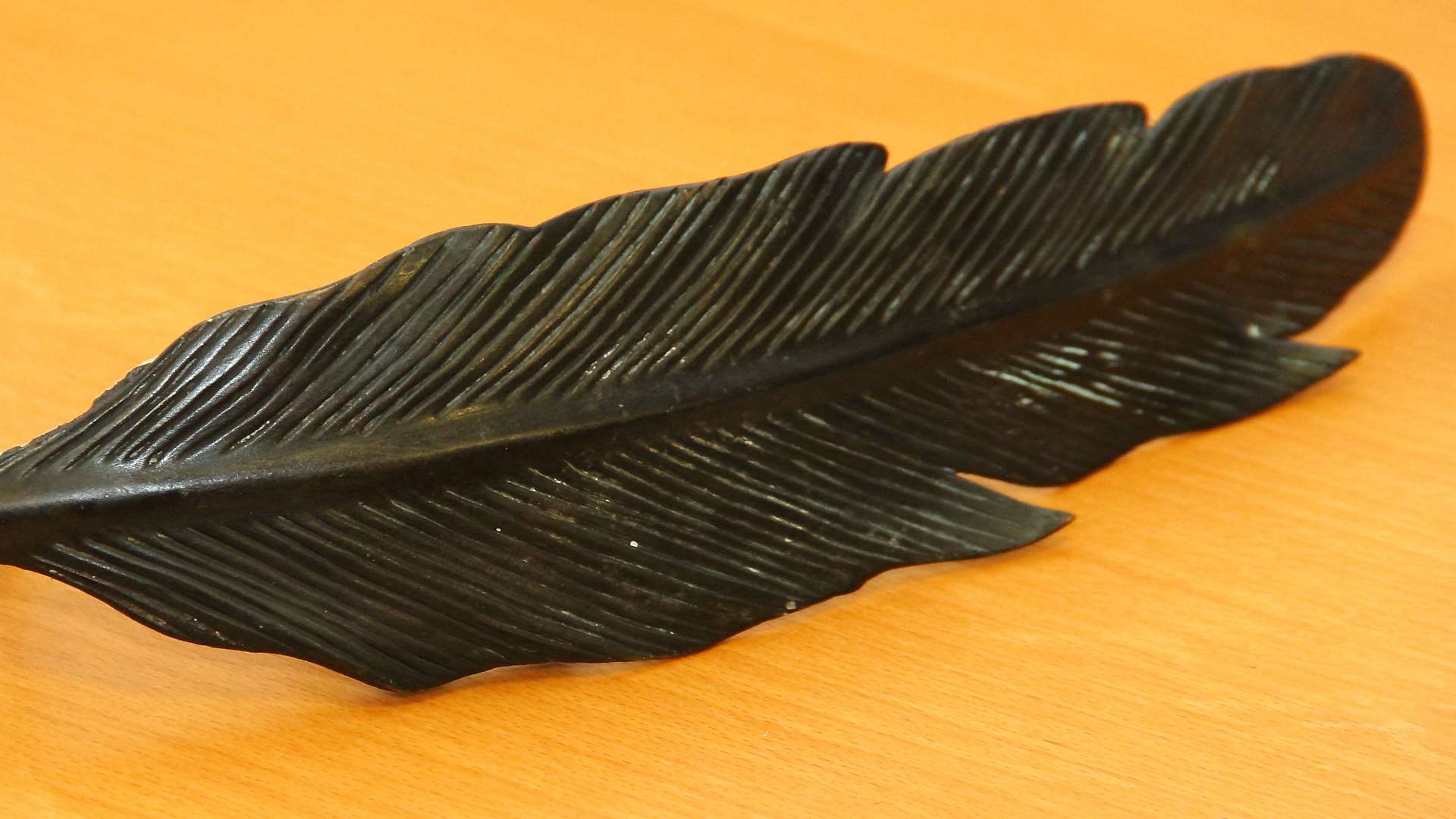 Pocahontas' feather