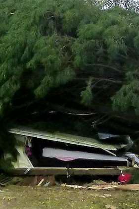 The caravan crushed by a tree in Lydens Lane, Hever. Picture: Ben Cusack / SWNS.com