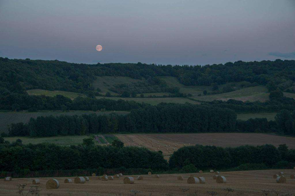 A stunning shot in Lullingstone by @jonathancobb