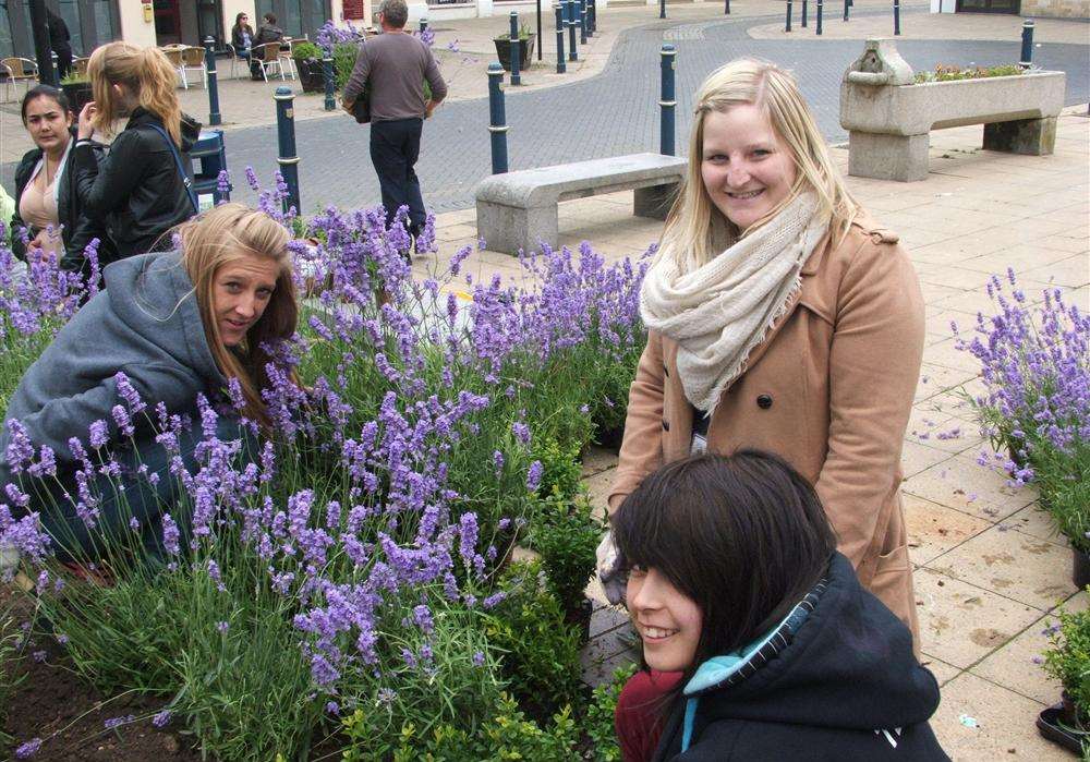 Volunteers from the Prince's Trust planting the "sea" of lavender.