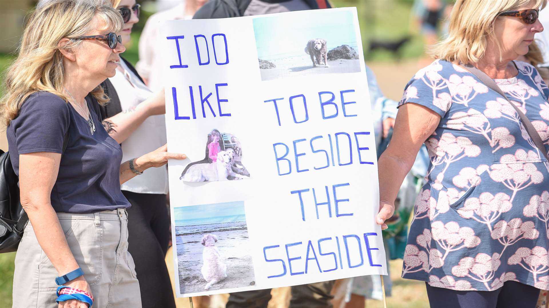 Dog walkers protest against proposal to ban dogs from the beach.