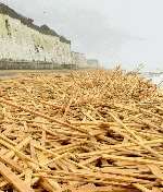Piles of the timber washed ashore on Thursday. Picture: Paul Dennis
