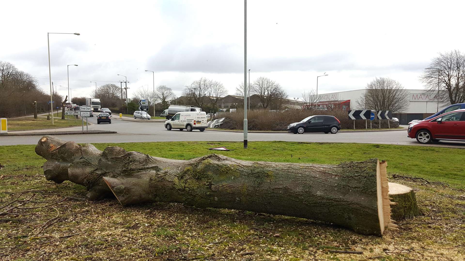 Trees have already been cut down in Chart Road