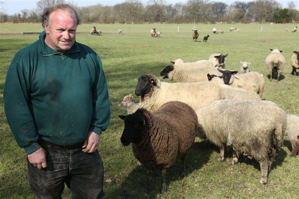 Farmer Roger Cooper in his field where sheep have been attacked for a second time