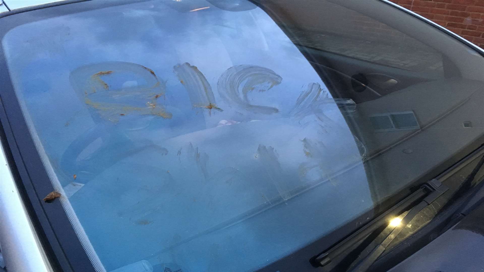 A message reminding the woman to pick up the mess was scribed on her car