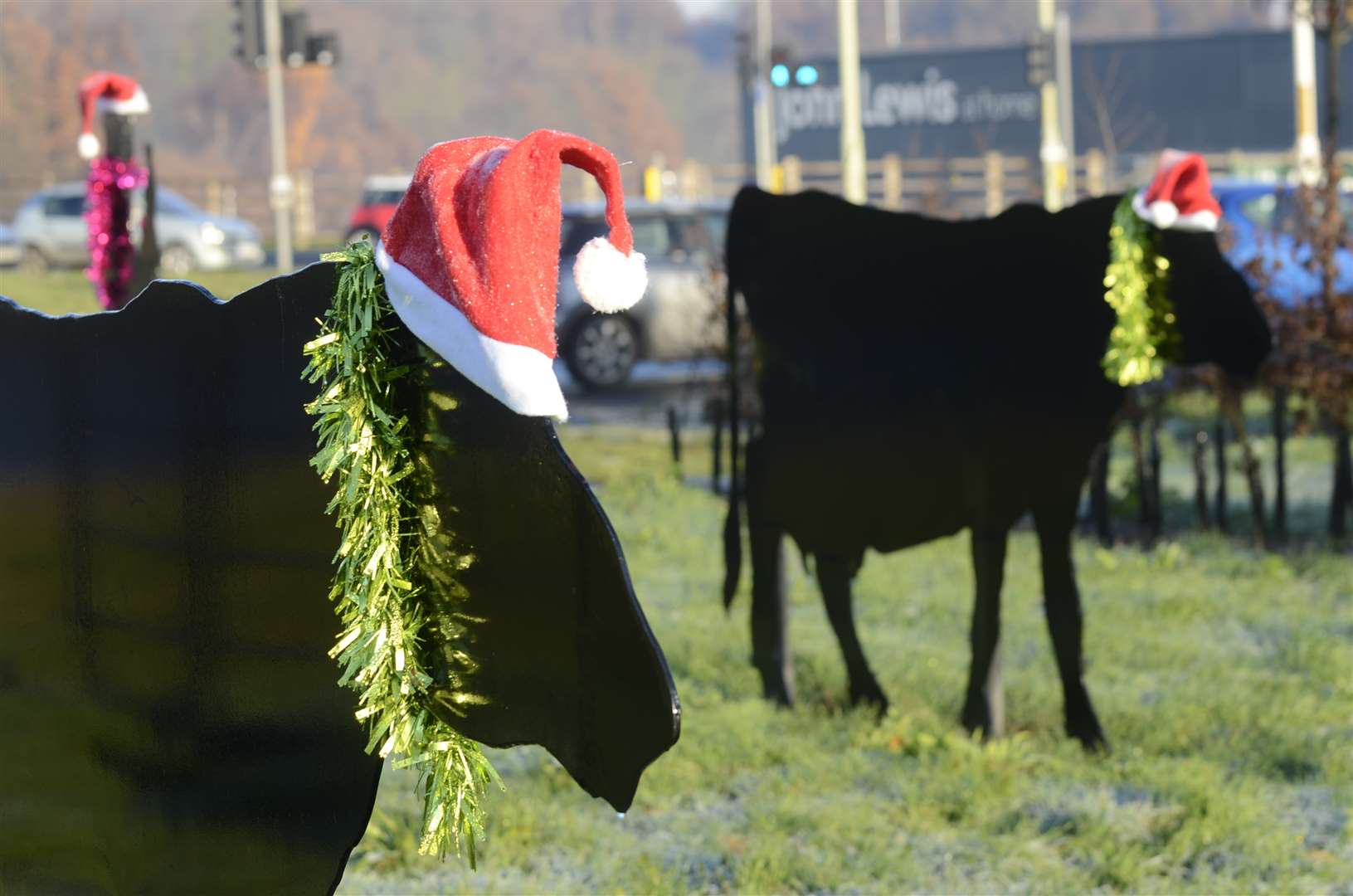 The Drovers Roundabout cows are regularly decorated by pranksters each Christmas