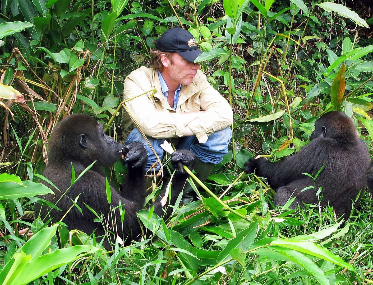 Damian Aspinall, pictured in 2010, with gorillas rewilded in Gabon