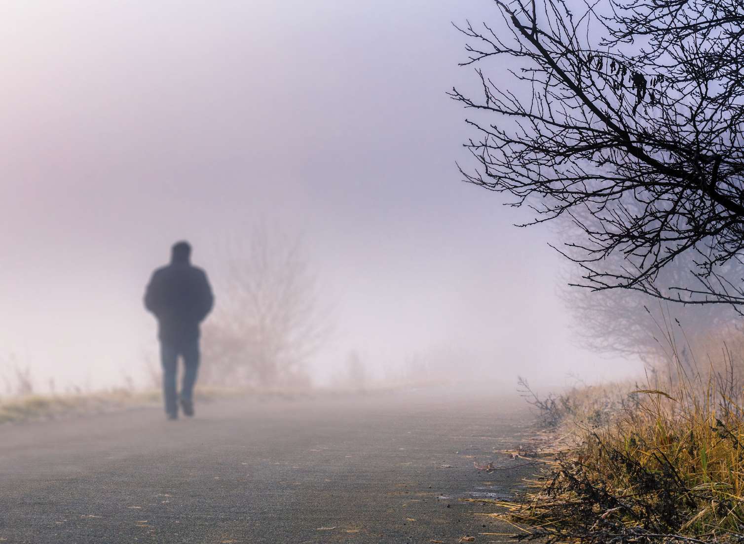 Fog may cause delays on Kent's roads. Stock image