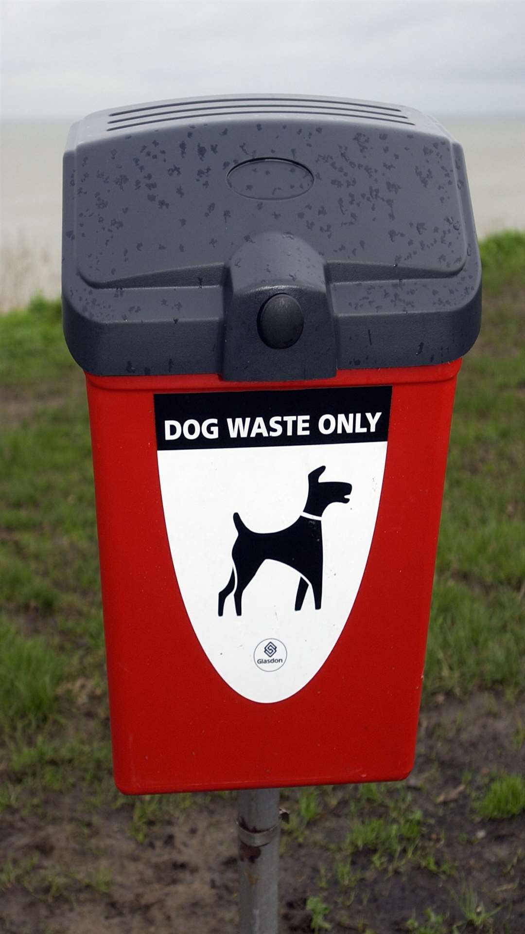 Yobs placed dog mess in a post box instead of a designated dog waste bin