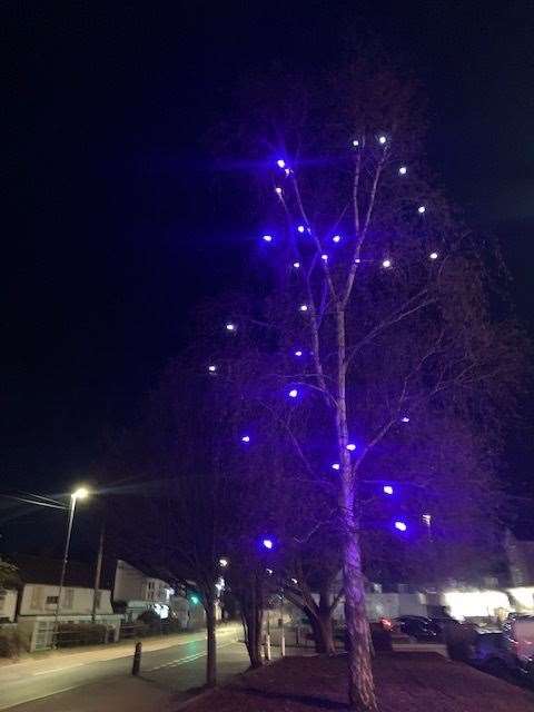 A tree in Staplehurst has been turned blue to show support for the NHS Picture: Paddy Riordan