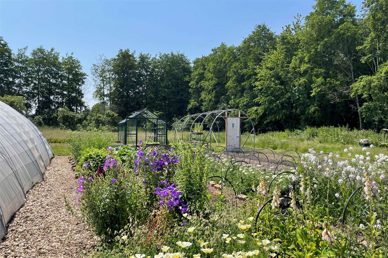 The community garden in Lynsted is a space where local enthusiasts can work together to grow produce. Picture: National Garden Scheme
