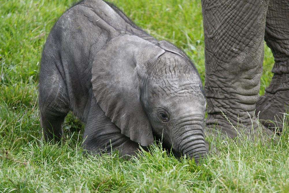 The playful baby Mirembe