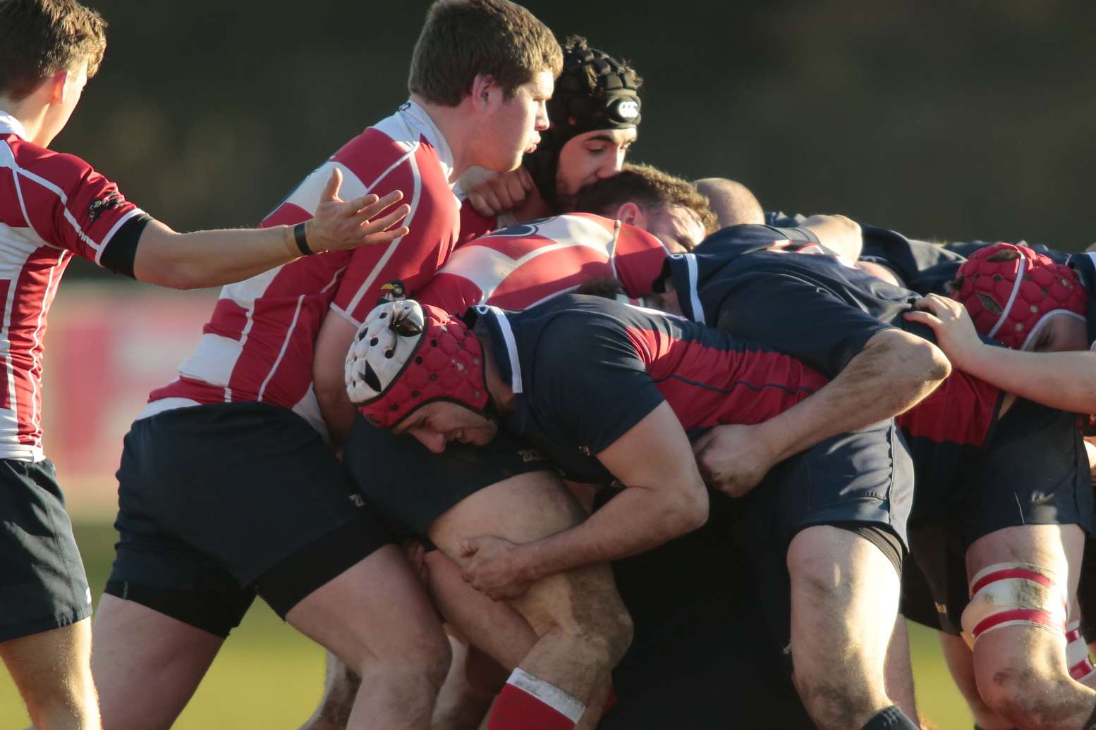 Aylesford have struggled in London 2 South East this season and last week's 41-19 defeat to Crowborough was their 18th in succession Picture: Martin Apps