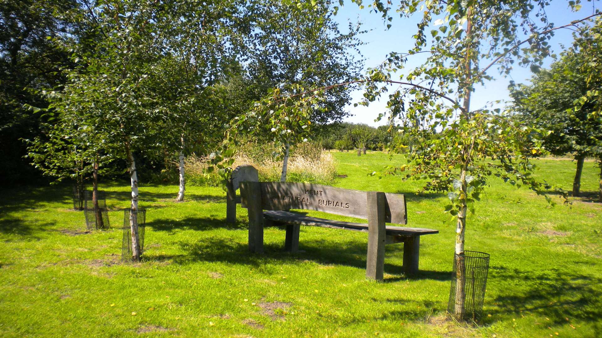 Deerton Natural Burial Ground near Teynham