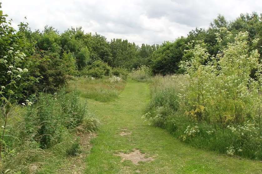 The Meads Community Woodland