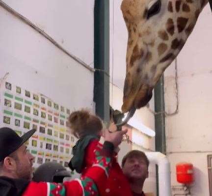 The band member fed a giraffe with his daughter and partner. Picture: Mark Feehily on Instagram