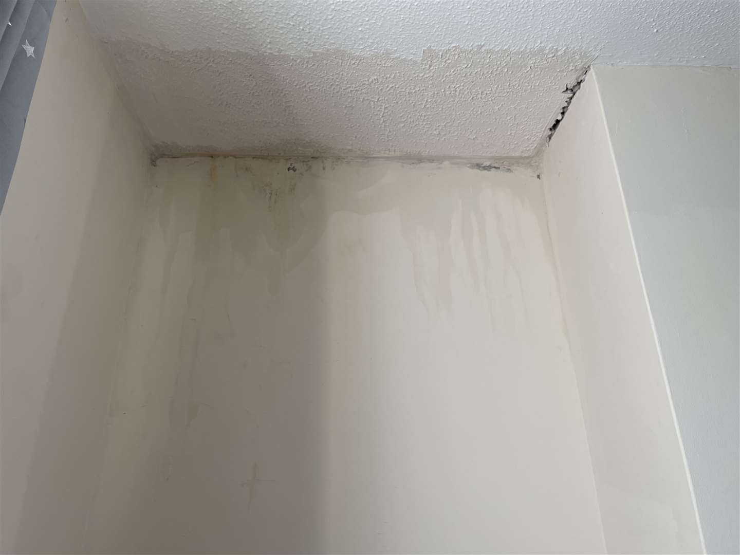 Lauren Burford says the ceiling is now coming away from the wall in the Whitstable property