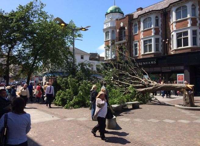 The tree fell in Folkestone town centre. Picture: @bradyboyqpr