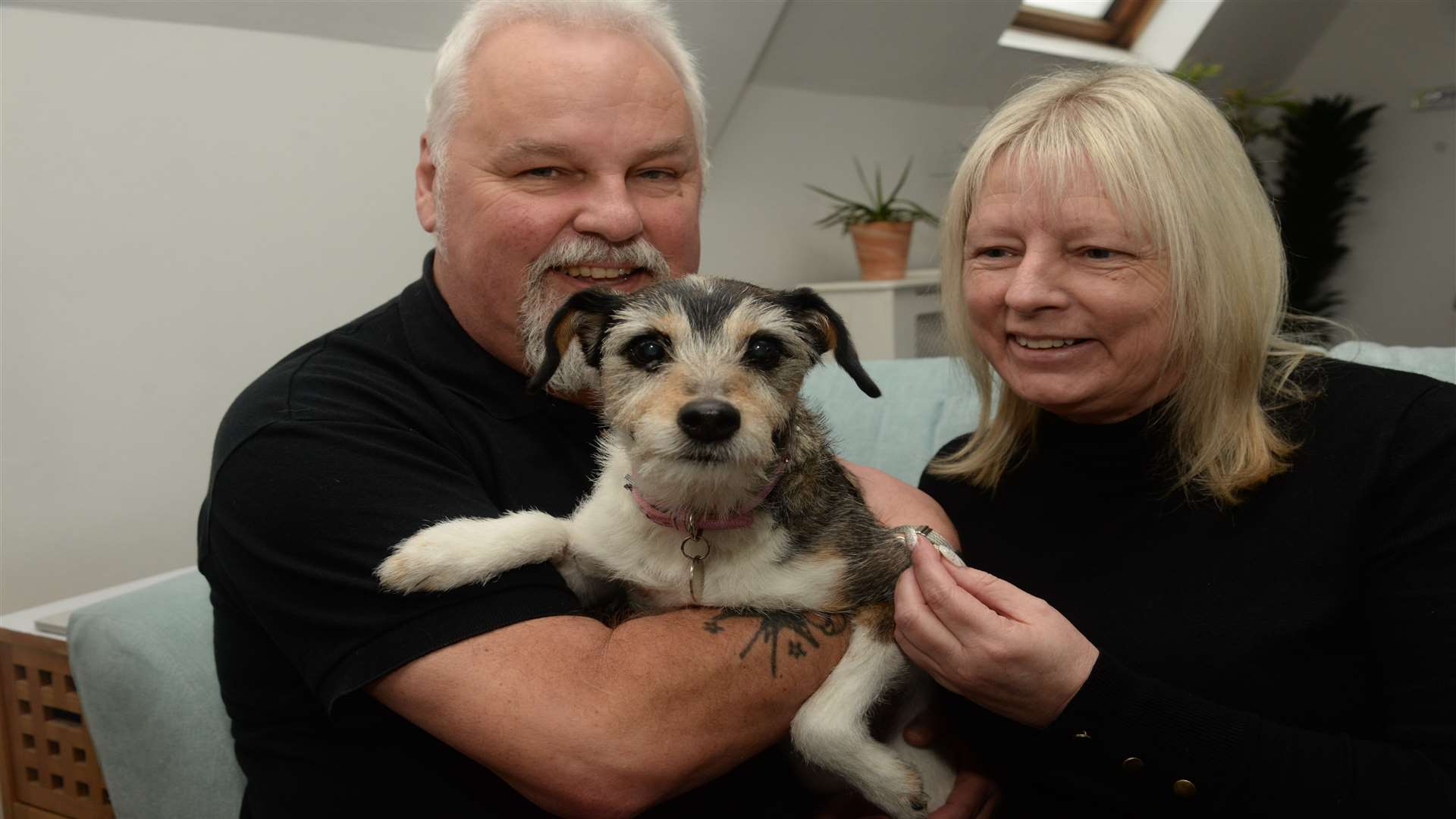 Mark Simon and Donna Mardon of Frances Court, Herne Bay and their Jack Russell Karlie who was mauled by two other dogs. Picture: Chris Davey