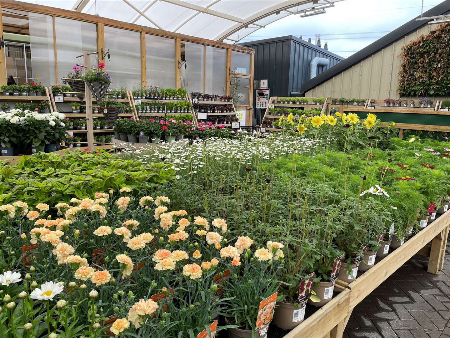 The plants the firm is selling are changing to survive the two weather extremes