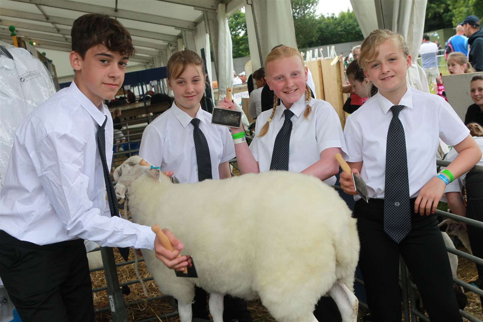 Young farmers from Sittingbourne school Westlands walked off with a string of awards at the Kent County Show. They have their own farm at the school in Westlands Avenue. Picture: John Westhrop. (13505735)