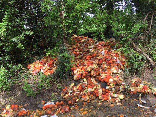 The oranges have been abandoned at the roadside.