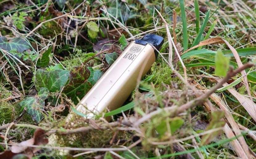 A vape dropped in a Kent Wildlife Trust park. Picture: Steve Weeks