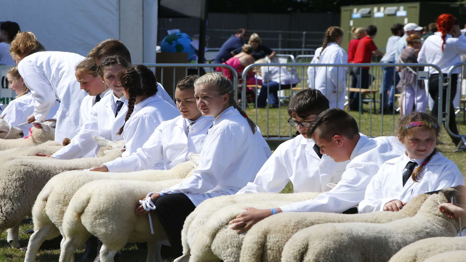 Judging in the Young Farmers Sheep ring