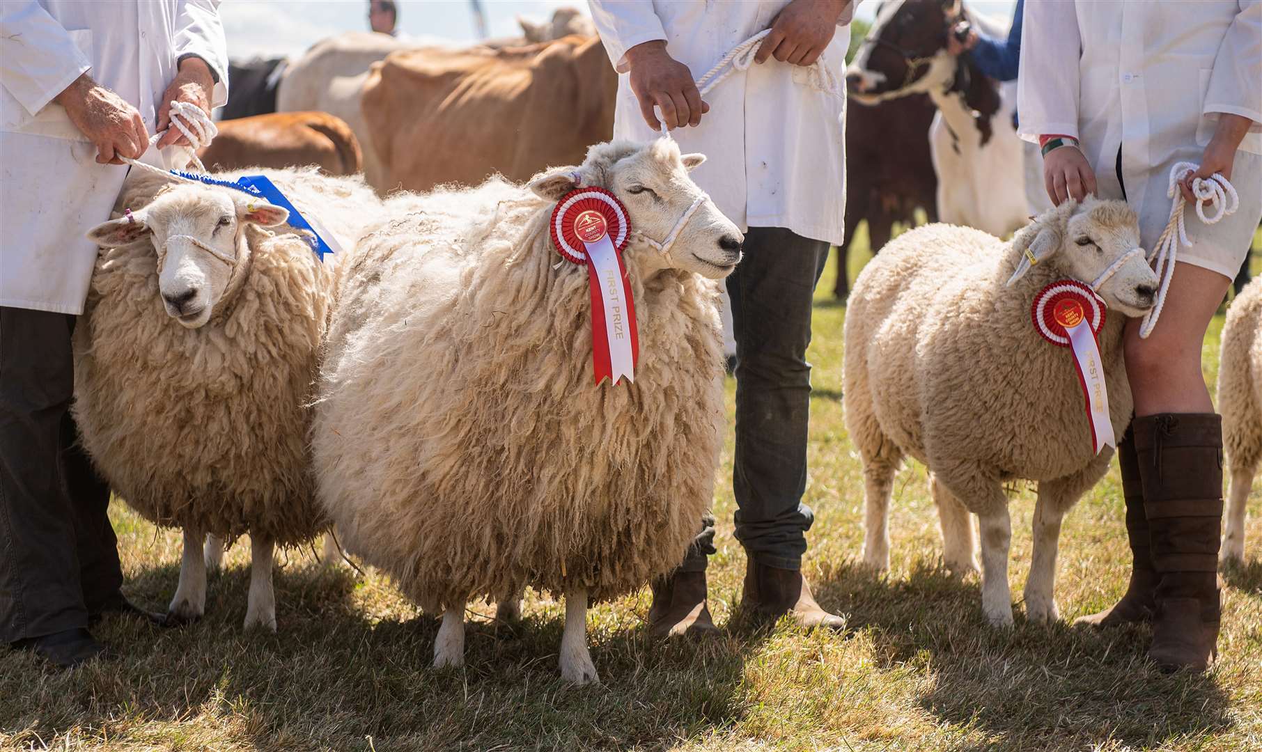 The Kent County Show will return in July 2023. Picture: KCAS