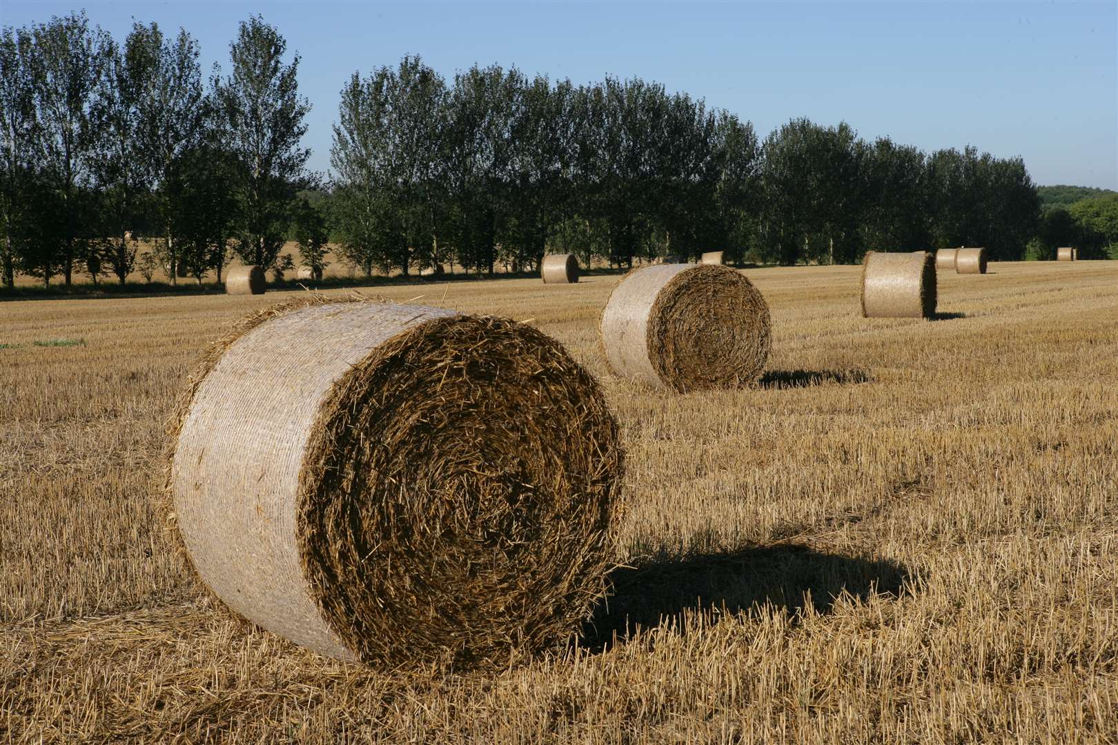 Straw bales in the fields at Frittenden