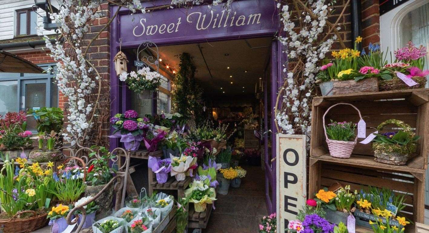 Sweet William was targeted by fraudsters Picture: Google