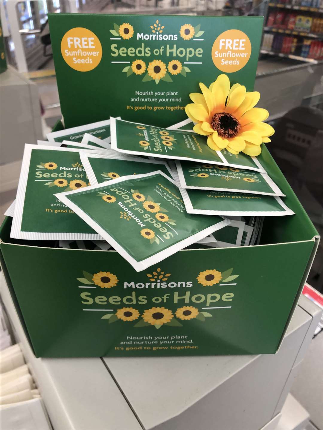 Pick up your sunflower seeds at Morrisons