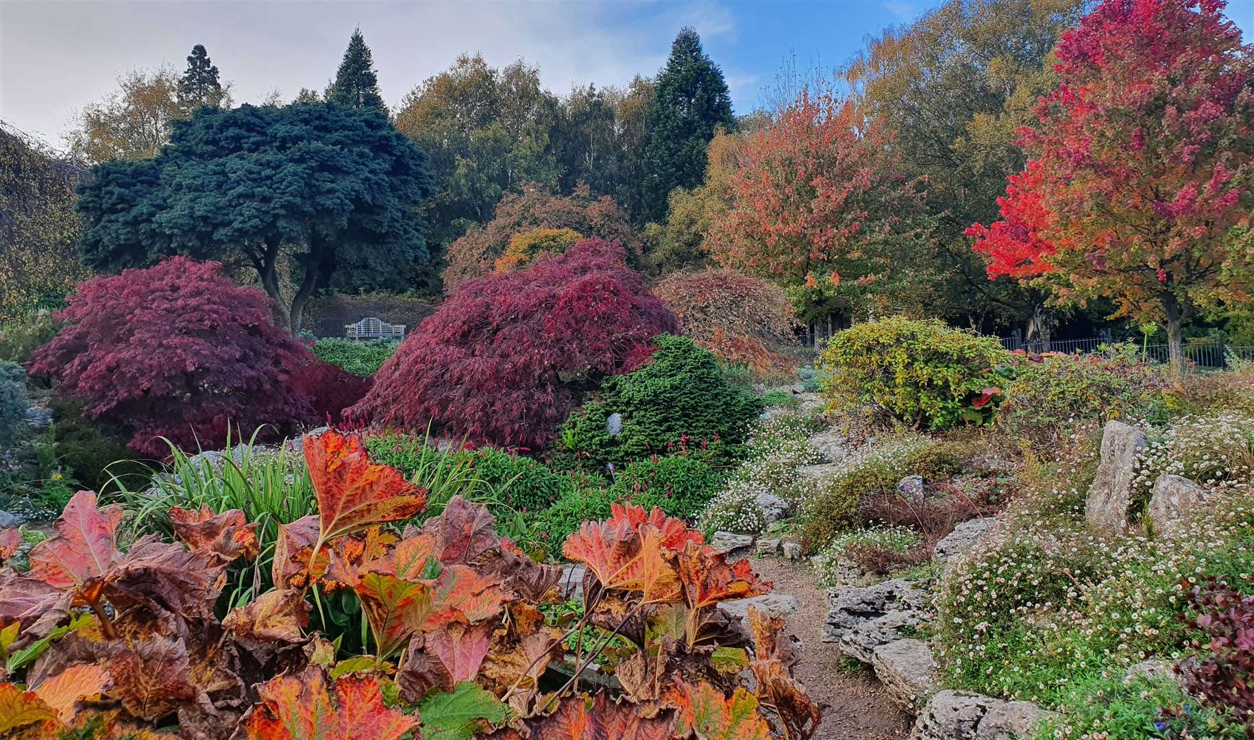 The National Trust garden is full of stunning plants, trees and shrubs. Picture: National Trust Images / Nick Dougan