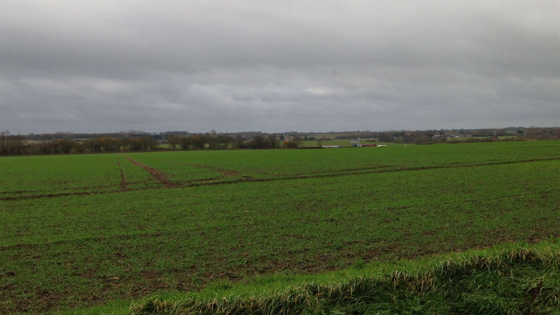 Fields off the M20 in Stanford was the site where the lorry park had been proposed for