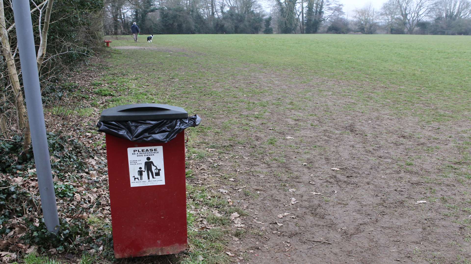 A match was called off due to dog mess on the field