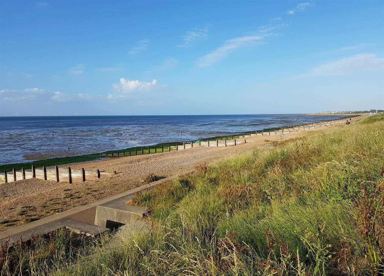 Tankerton Beach, Whitstable, where the seal was found