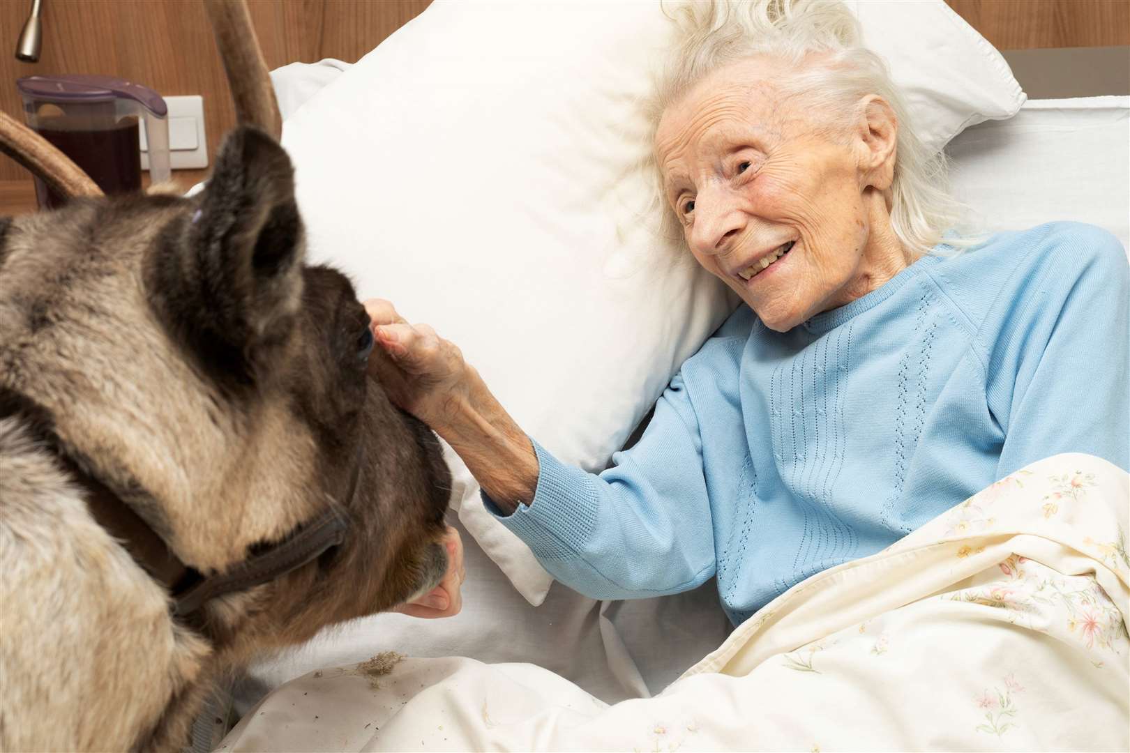 Elsie was filled with joy after petting the reindeer. Picture: Heathfield Court care home