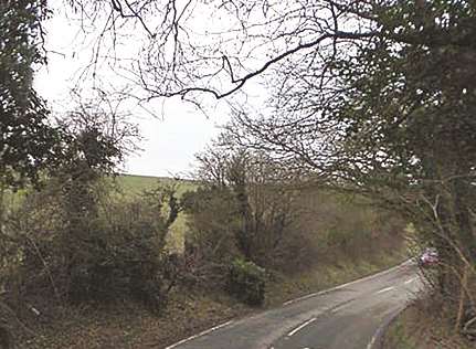 Cobham Wood, where the body was found