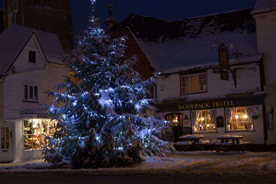 Christmas trees in Tenterden High Street